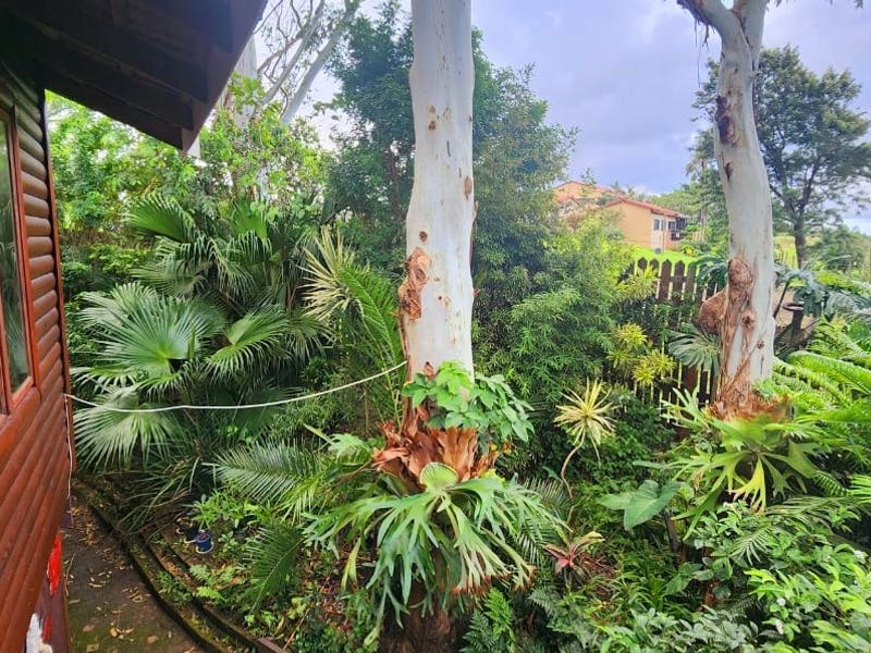 A view of the rear garden area featuring mature trees, lush landscaping, and a log cabin style exterior wall with timber-framed windows.