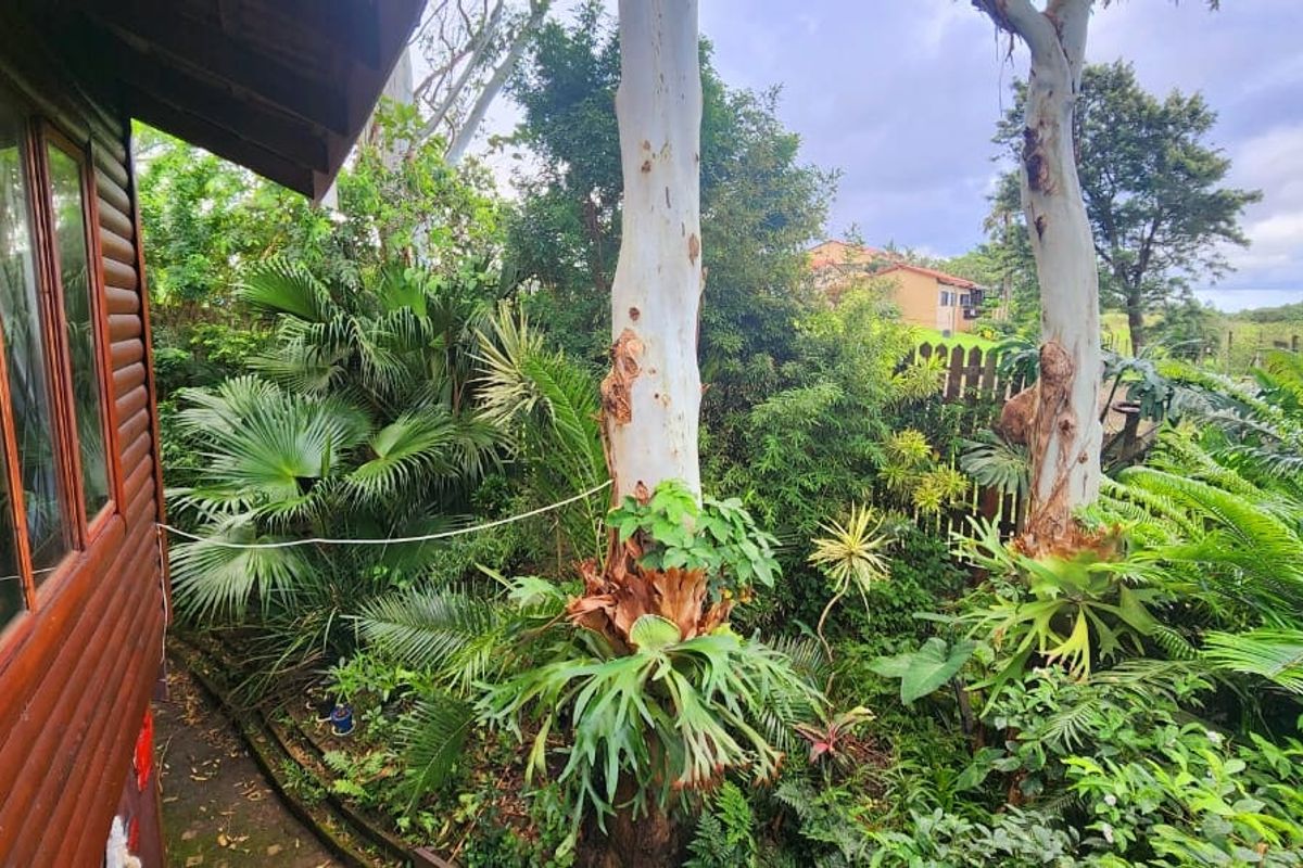 A view of the rear garden area featuring mature trees, lush landscaping, and a log cabin style exterior wall with timber-framed windows.