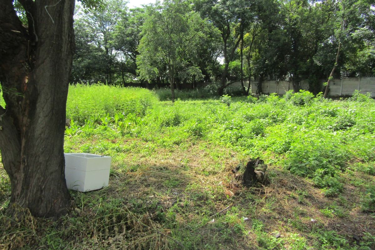 Vacant Land For Sale In Sandton - Photo 5