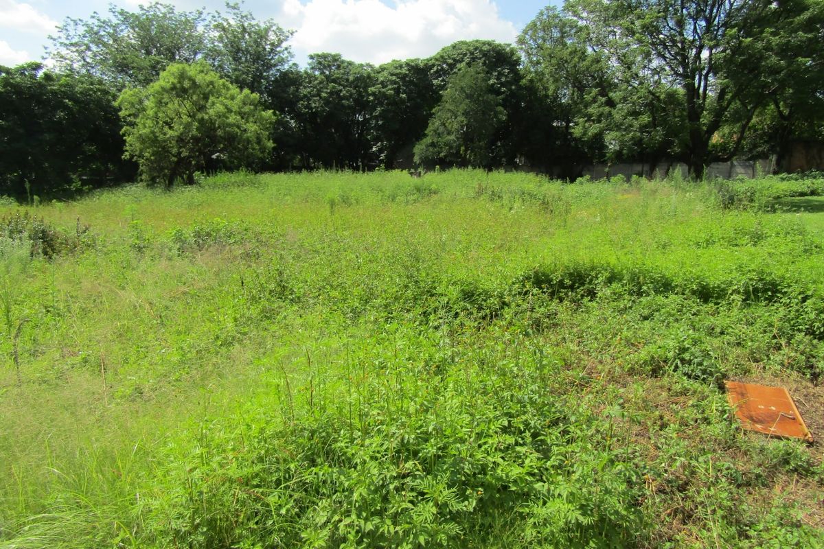 A view of a vacant residential plot featuring overgrown grass and mature trees, offering a blank canvas for future development.