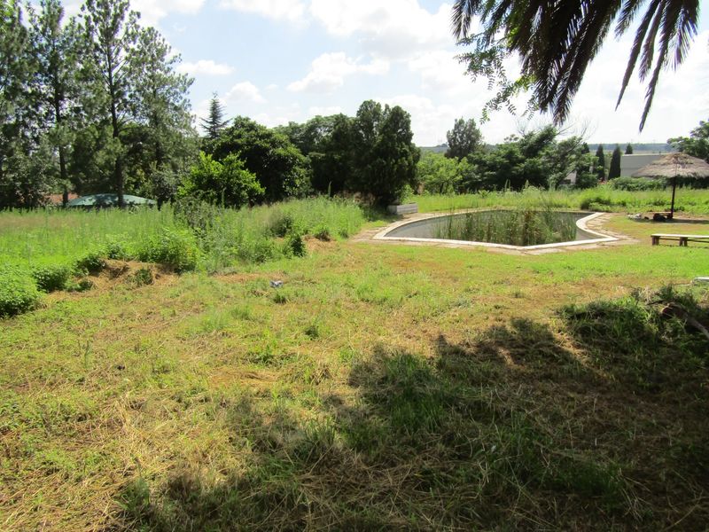 An outdoor pool area set within a large, overgrown garden, requiring significant landscaping and pool restoration to reach its full potential.