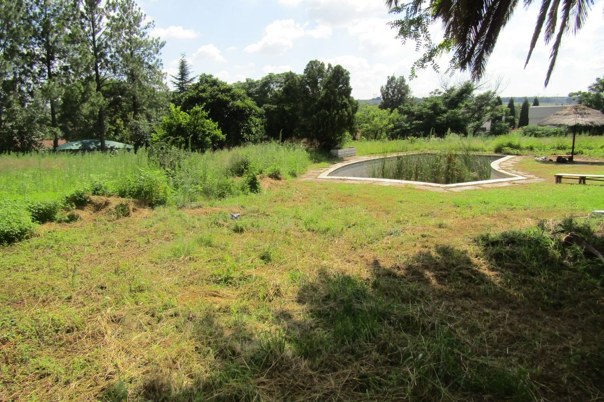 An outdoor pool area set within a large, overgrown garden, requiring significant landscaping and pool restoration to reach its full potential.
