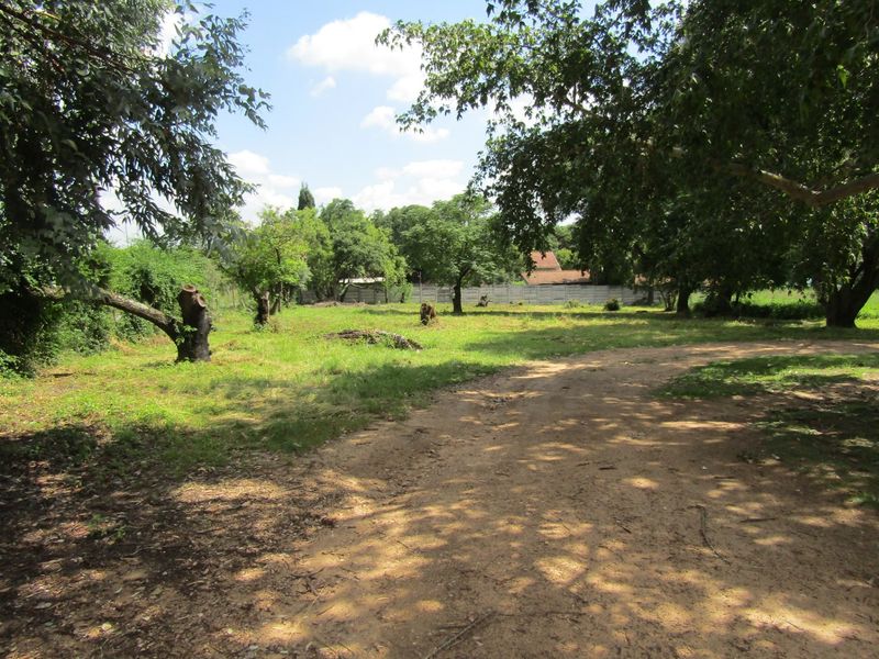 A spacious, partially cleared residential plot featuring mature trees, an unpaved access path, and a precast concrete boundary wall at the rear.