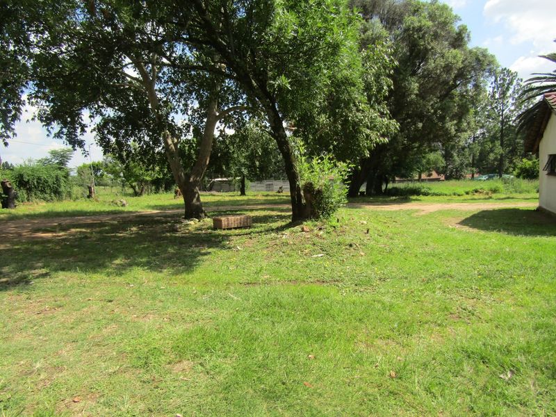 A view of a spacious residential garden area featuring mature trees and an established grass lawn.