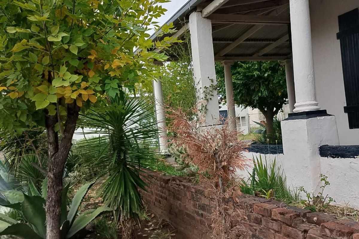 House For Sale In Steynsburg - Photo 5