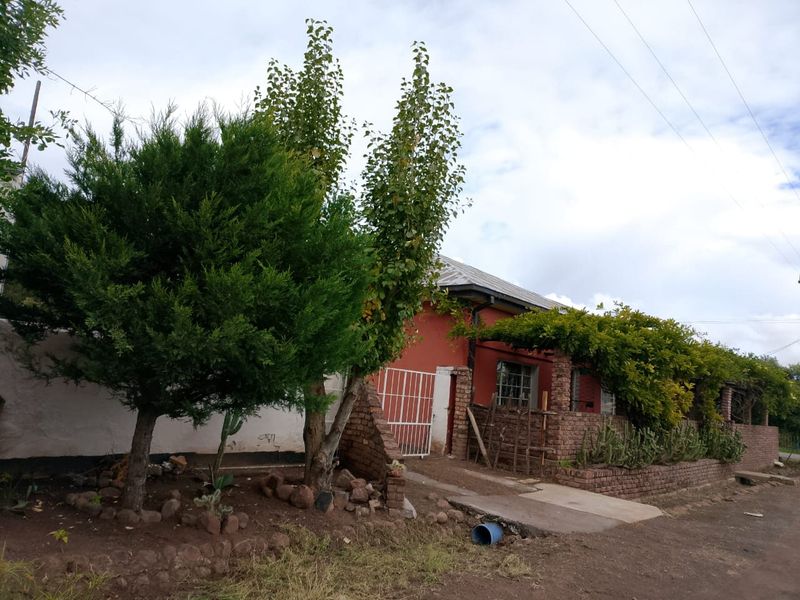 House For Sale In Steynsburg - Photo 10