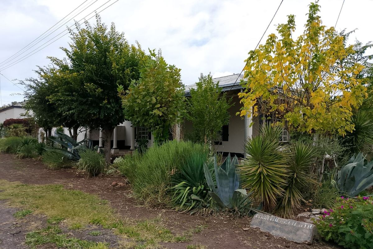 House For Sale In Steynsburg - Photo 2