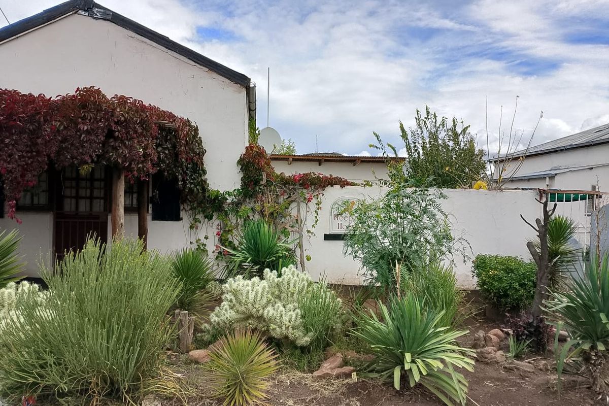 House For Sale In Steynsburg - Photo 4