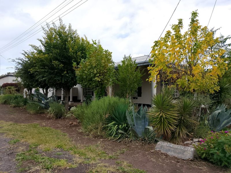 A view of the front exterior of the house, featuring a landscaped garden with established trees and shrubs.