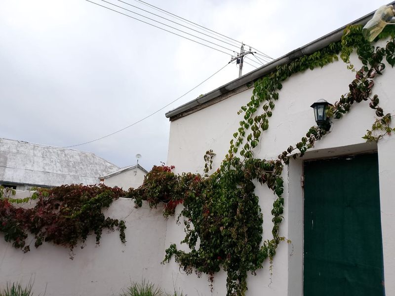 Exterior view of a building facade featuring a wall-mounted light fixture and climbing ivy, showing signs of weathering.