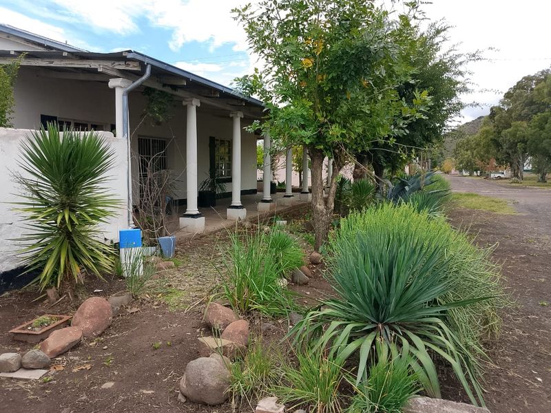 A view of the front facade featuring a covered veranda with classic columns, set alongside a natural garden and street access.