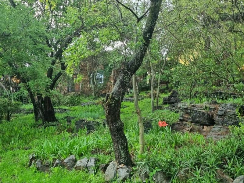 A lush, established garden featuring mature trees, natural rock formations, and stone landscaping elements, providing a serene and private outdoor setting.