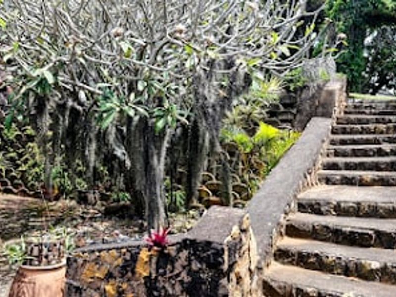 A landscaped garden area featuring a stone staircase, retaining walls, and mature trees, providing access to the upper levels of the property.
