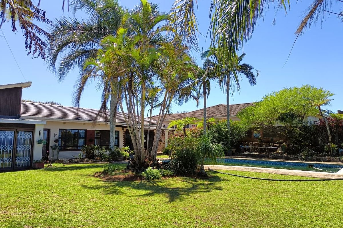 Spacious rear garden featuring a swimming pool, established palm trees, and a well-maintained lawn area adjacent to the main house structure.