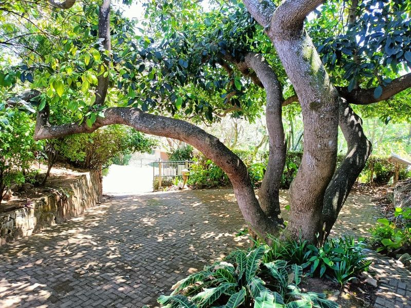 House For Sale In Margate - Photo 6