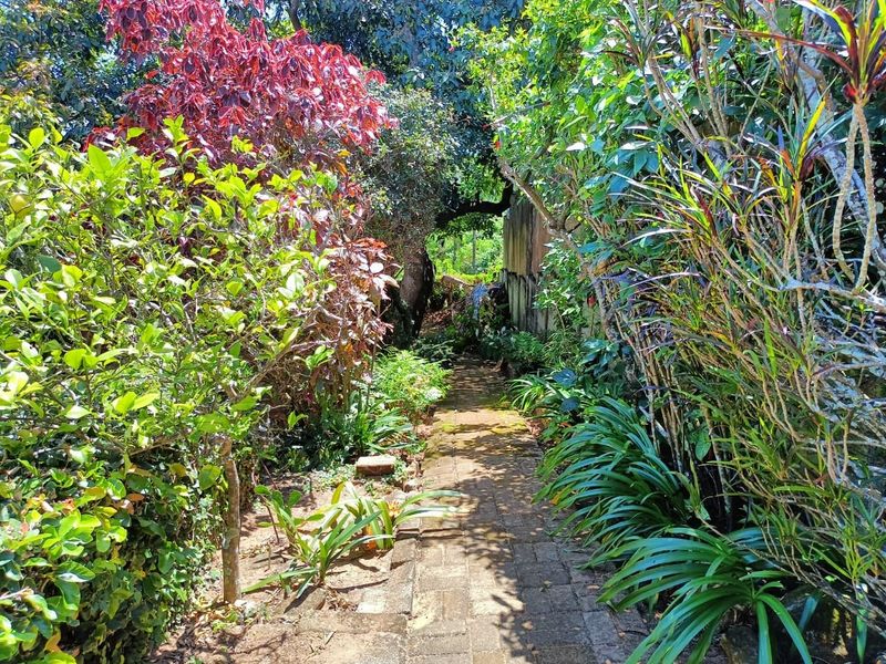 House For Sale In Margate - Photo 7