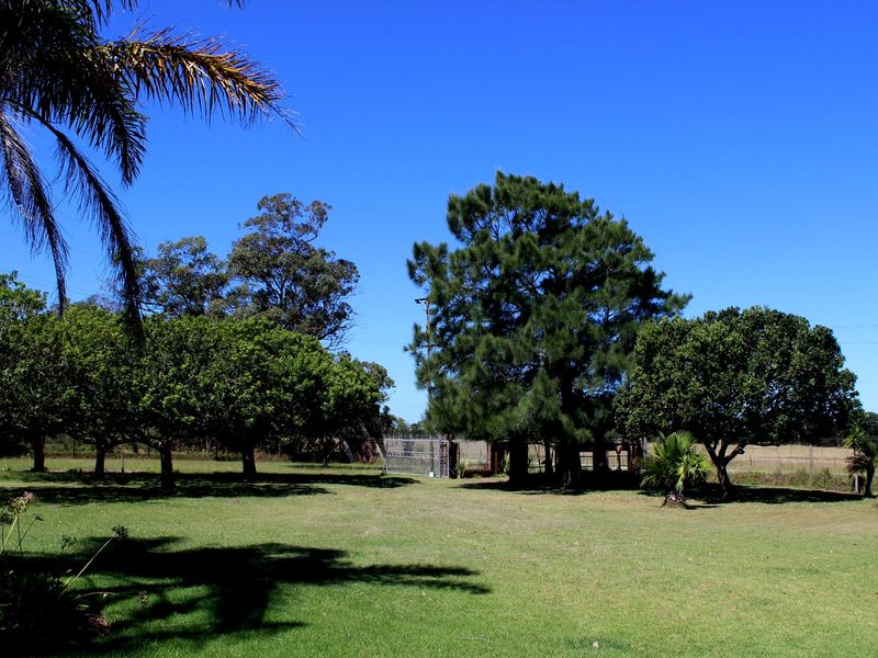 Farm For Sale In Port Elizabeth - Photo 7