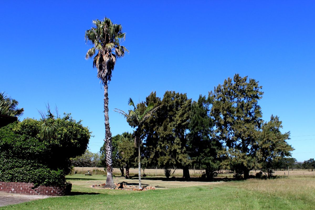 Farm For Sale In Port Elizabeth - Photo 3