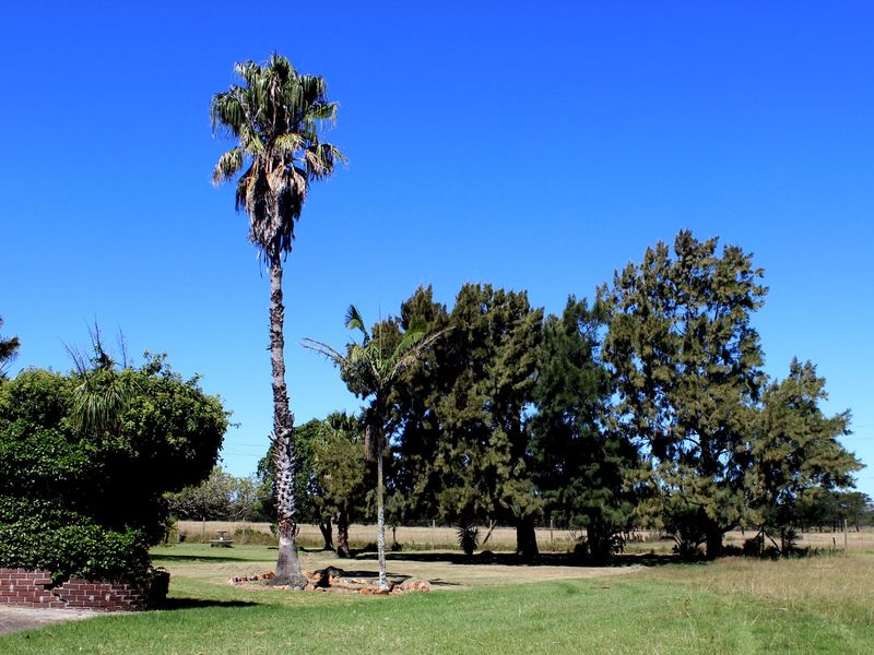 Farm For Sale In Port Elizabeth - Photo 4