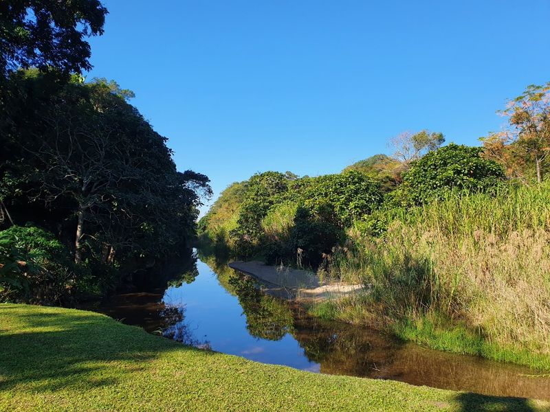 A scenic view of a natural stream flowing through a lush, green landscape with mature trees and well-maintained grass.