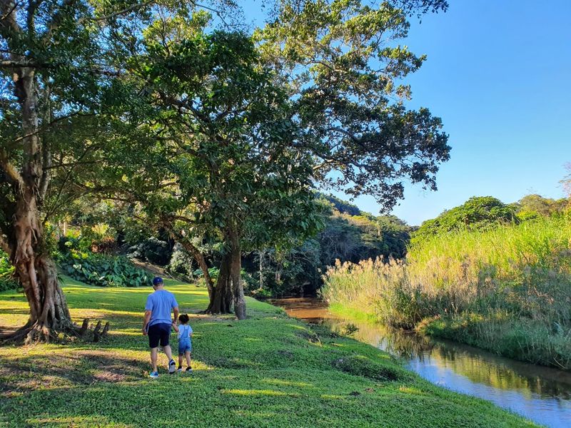 A scenic, well-maintained garden area featuring mature trees and a natural stream, providing a peaceful outdoor environment.