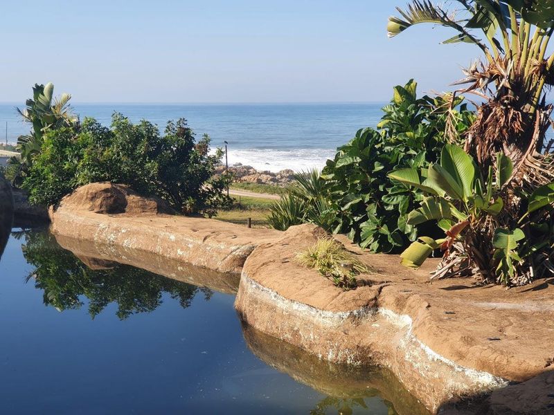 A scenic outdoor pool area featuring a naturalistic rock-style edge with beautiful ocean views and established coastal landscaping.