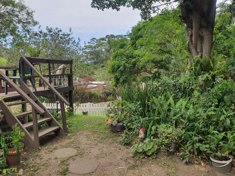 A lush garden area featuring a raised timber deck with stairs, surrounded by mature trees and a white picket fence.
