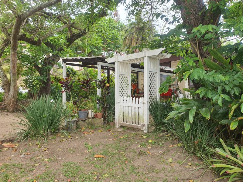 A garden area featuring a weathered white wooden pergola and matching garden gate, surrounded by mature trees and established landscaping.