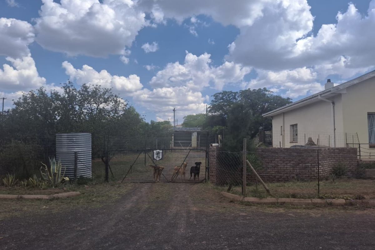 House For Sale In Steynsburg - Photo 4