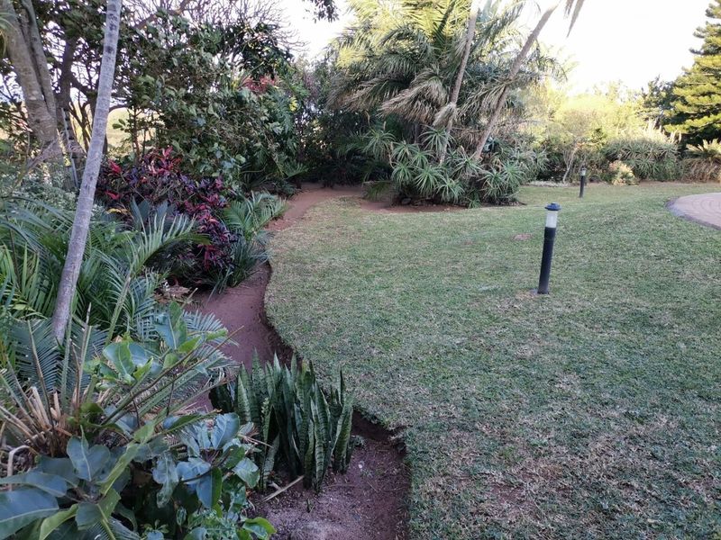 A well-maintained garden area featuring established tropical landscaping, a winding pathway, and integrated bollard lighting.