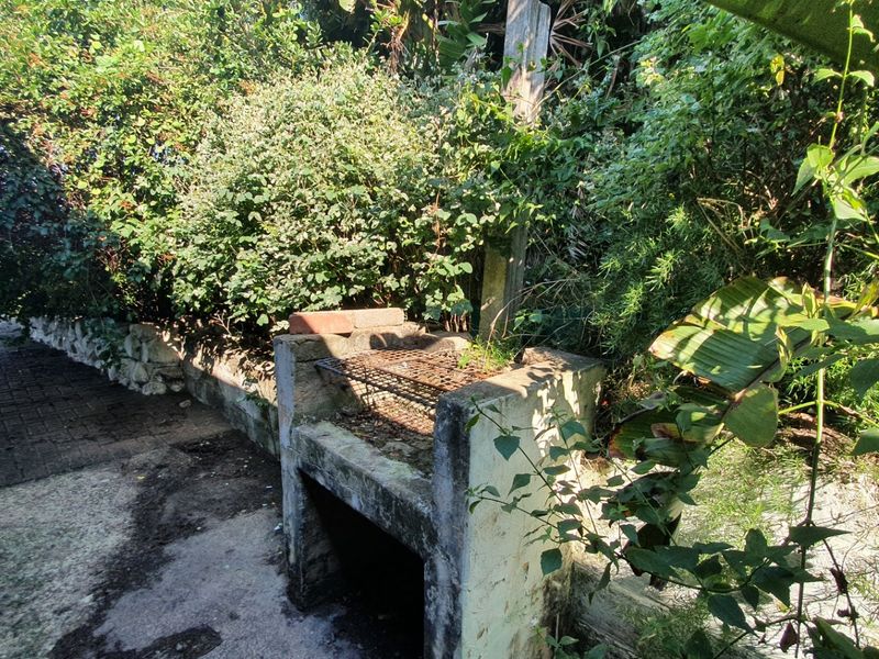 Outdoor garden area featuring a built-in brick braai, paved walkway, and established landscaping requiring maintenance.