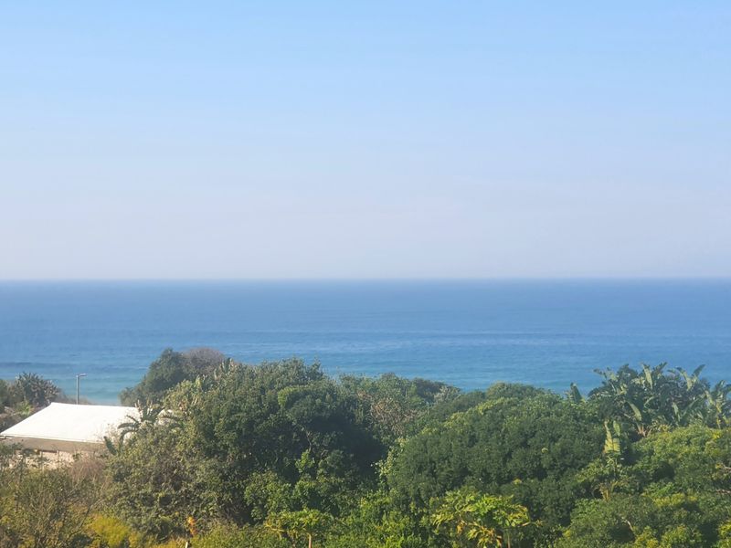 A scenic elevated view overlooking lush coastal vegetation and the open ocean horizon.