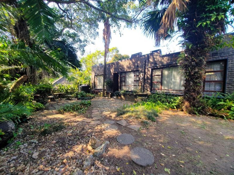 A rear view of a brick-clad house featuring steel-framed windows, set within a mature, established garden with stone pathways and dense foliage.