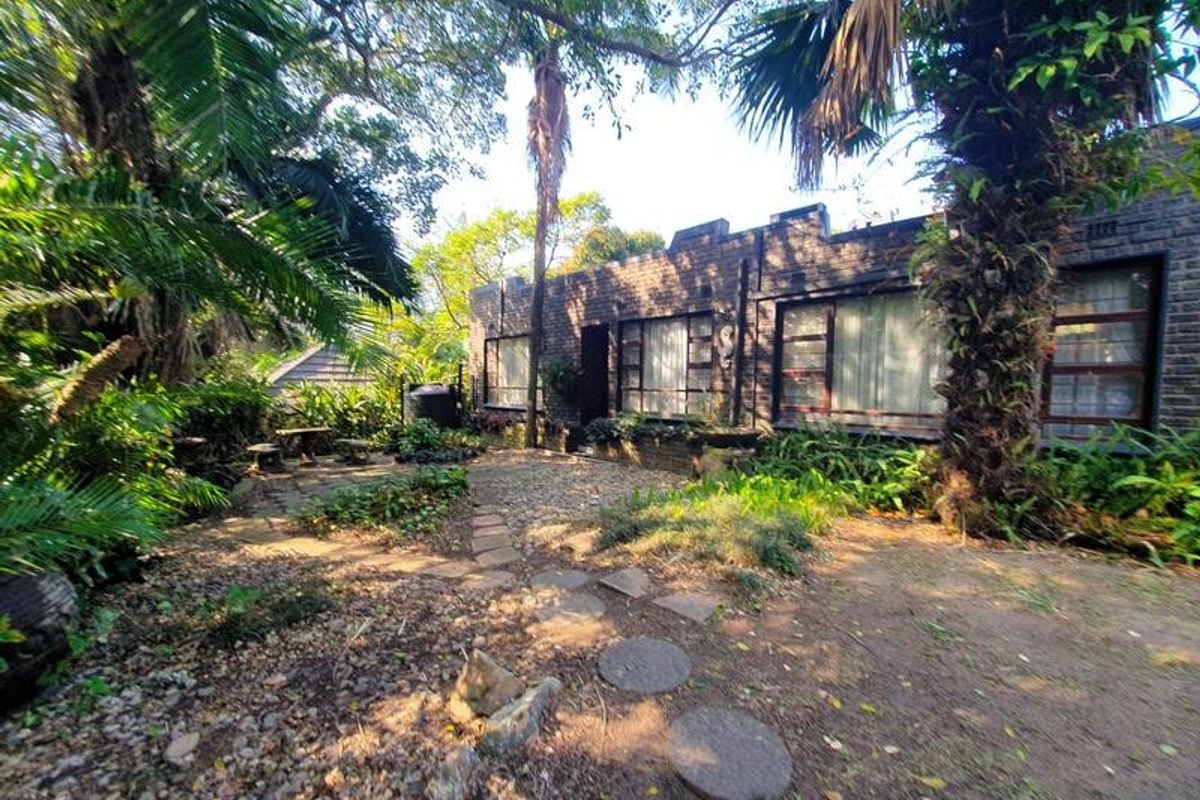 A rear view of a brick-clad house featuring steel-framed windows, set within a mature, established garden with stone pathways and dense foliage.