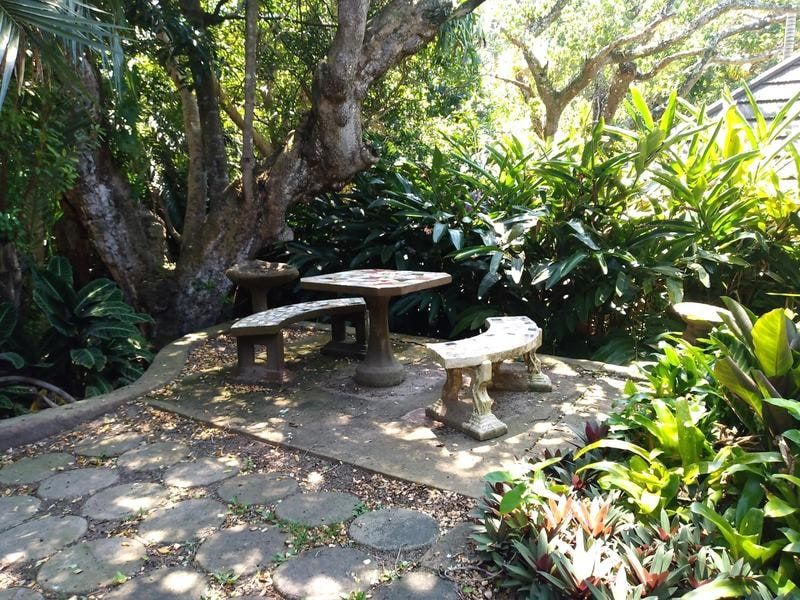 A tranquil garden setting featuring a stone-paved patio area nestled among mature trees and lush tropical landscaping.