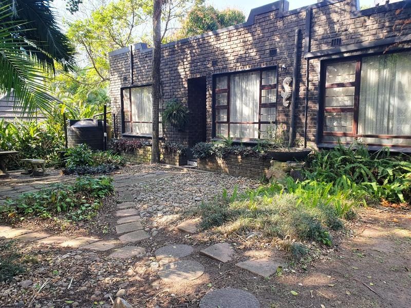 Rear exterior view of a face brick house featuring steel-framed windows, a paved garden path, and an integrated water storage tank.