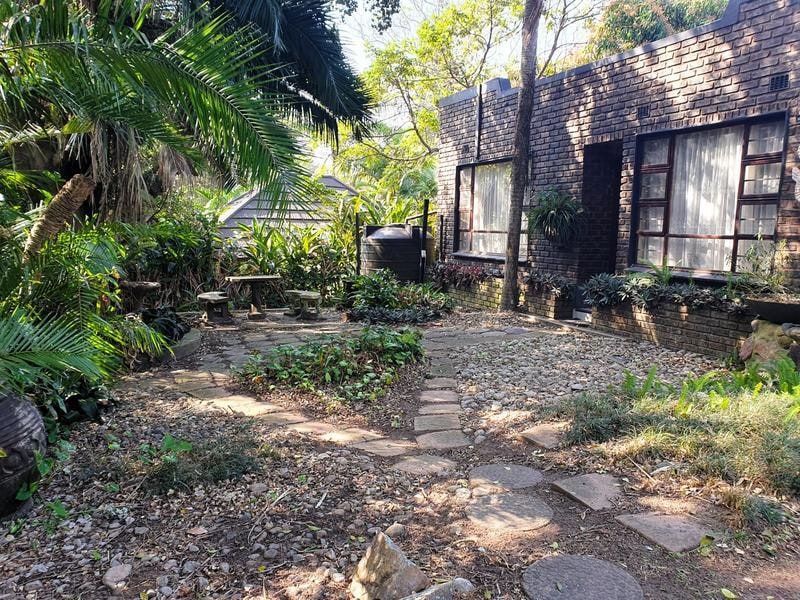 A rear garden view featuring a brick facade, steel-framed windows, a water tank, and a stone-paved pathway surrounded by established greenery.
