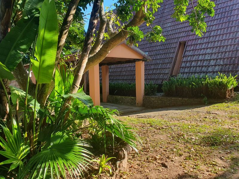 A view of the rear exterior area featuring a covered walkway, tiled roof structure, and established garden surroundings.