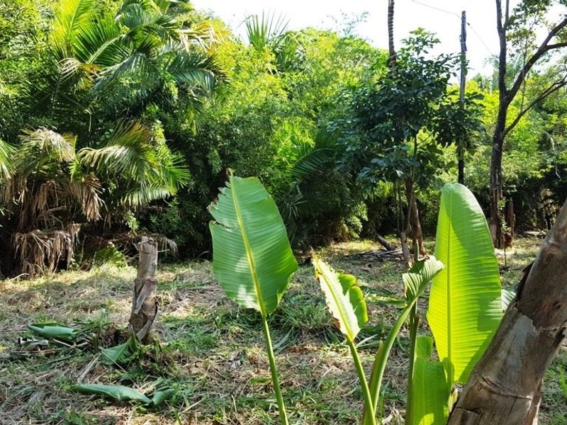 Vacant Land For Sale In Port Edward - Photo 4