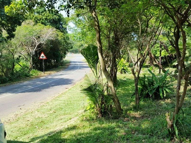 Vacant Land For Sale In Port Edward - Photo 2