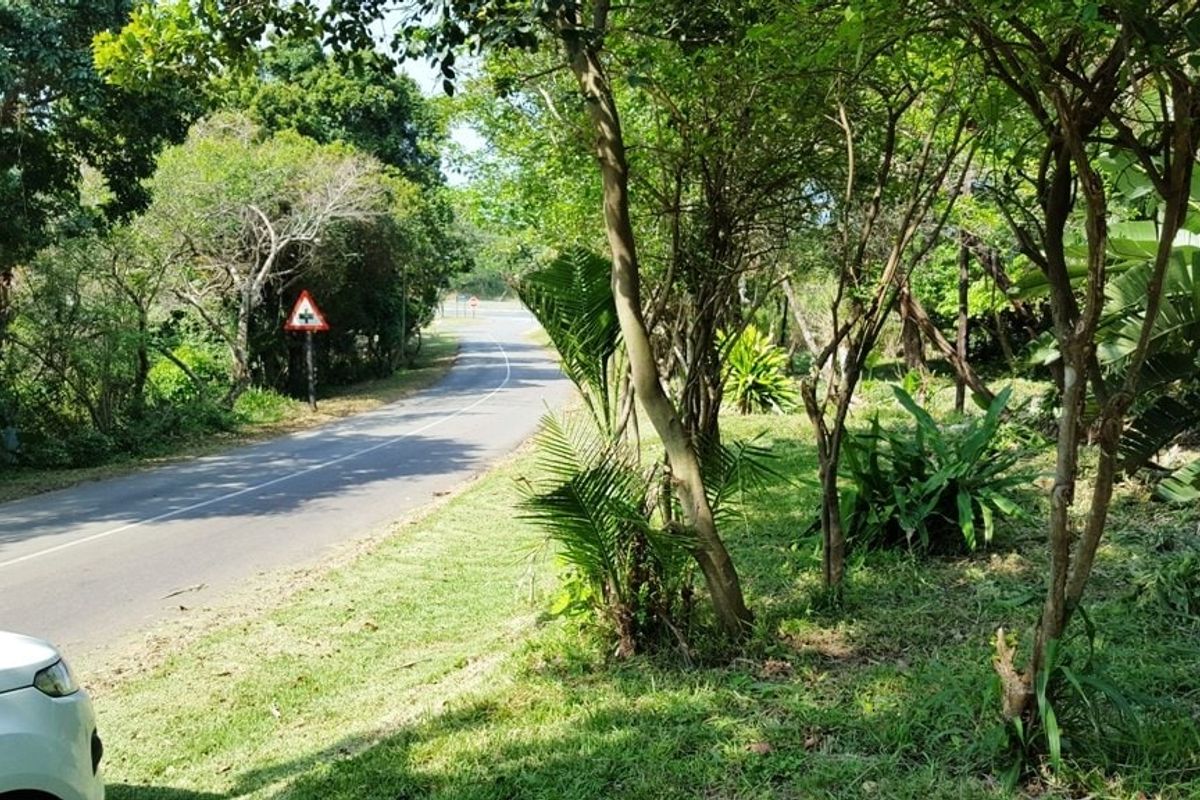 A view of the paved street and surrounding mature vegetation bordering the vacant residential land.