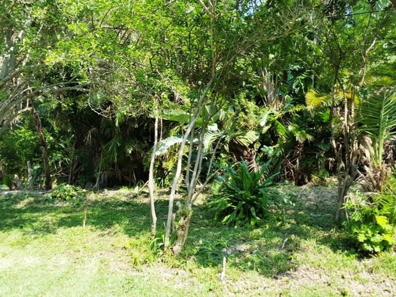 Vacant Land For Sale In Port Edward - Photo 5