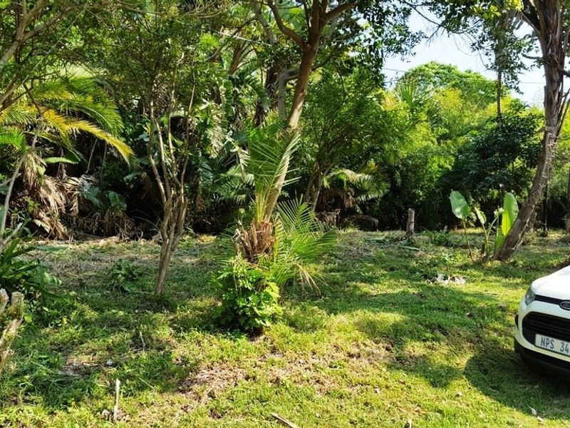 Vacant Land For Sale In Port Edward - Photo 3