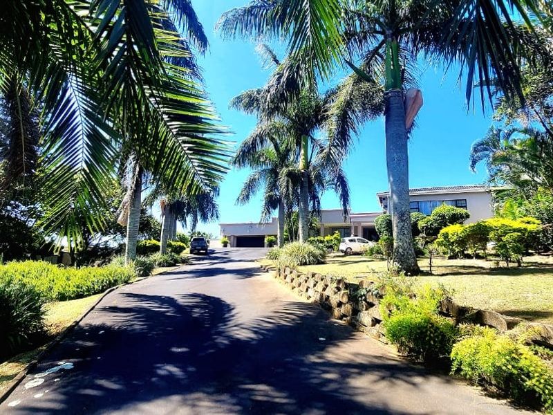 A wide asphalt driveway leads up to the front of the property, framed by mature palm trees and a stone retaining wall.