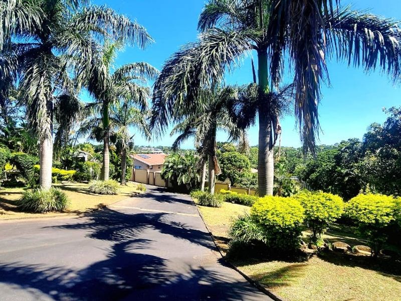 A scenic view of a paved driveway leading towards the property, surrounded by mature palm trees and well-maintained garden landscaping.