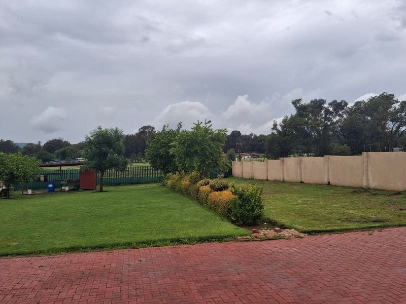 Spacious backyard featuring a well-maintained lawn, paved driveway area, and secure perimeter walling.