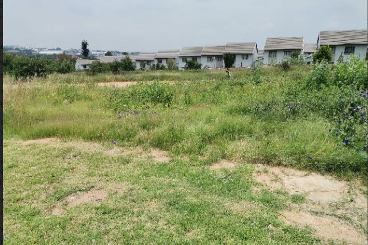 A view of an undeveloped residential plot of land with surrounding neighborhood housing in the background.