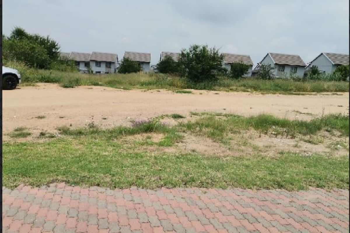A view of an unpaved residential street frontage with a paved verge, looking towards a row of established residential houses.