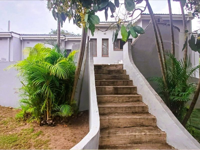 Rear exterior view of the property featuring a concrete staircase leading to the building entrance, surrounded by garden landscaping and boundary walls.
