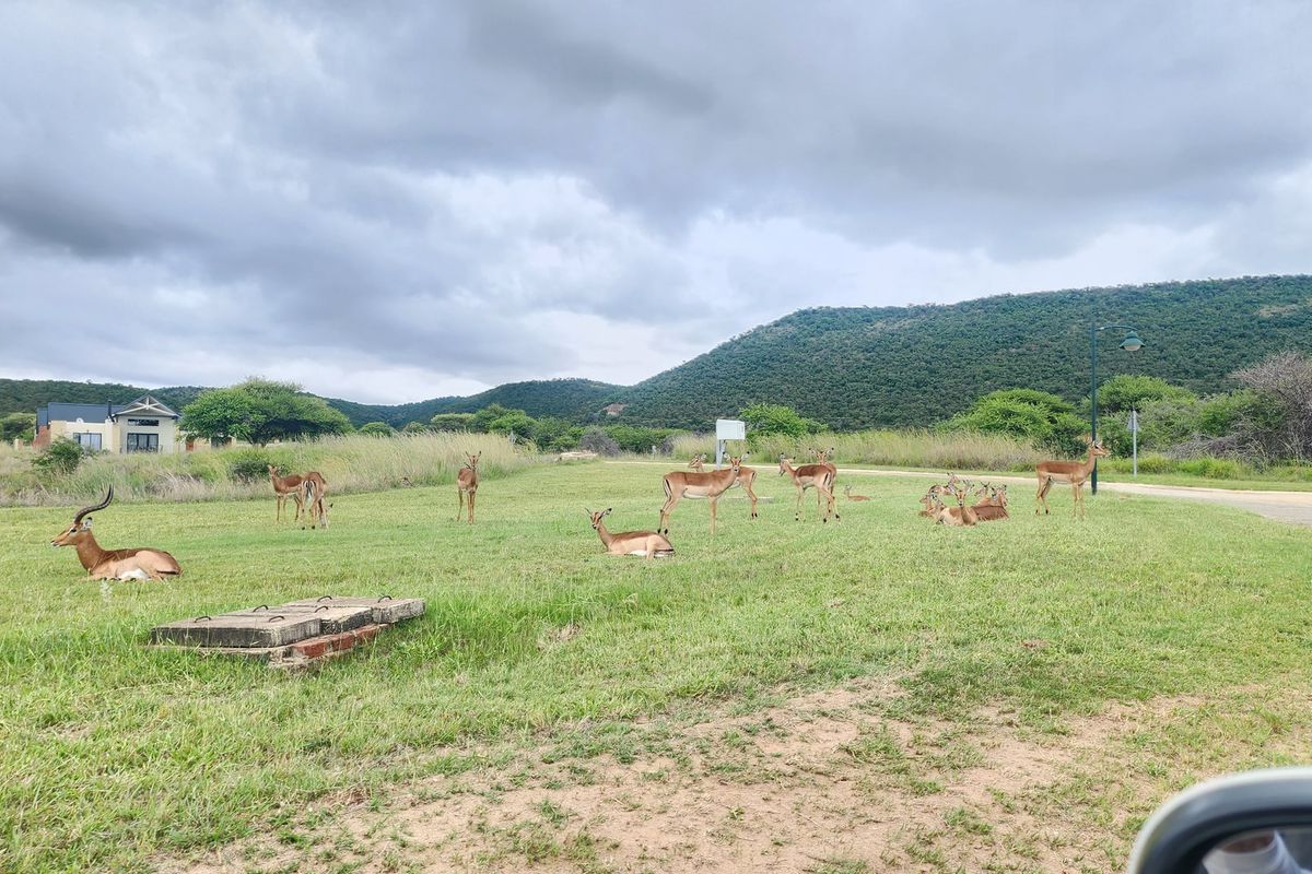 A vacant residential plot featuring natural grassland, a concrete utility access point, and surrounding mountain views in a wildlife-friendly estate setting.